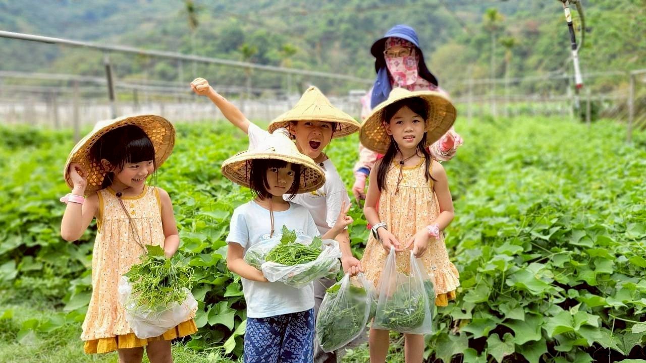 學生打造龍鬚菜採摘活動，讓親子樂在農田、體驗農趣。
