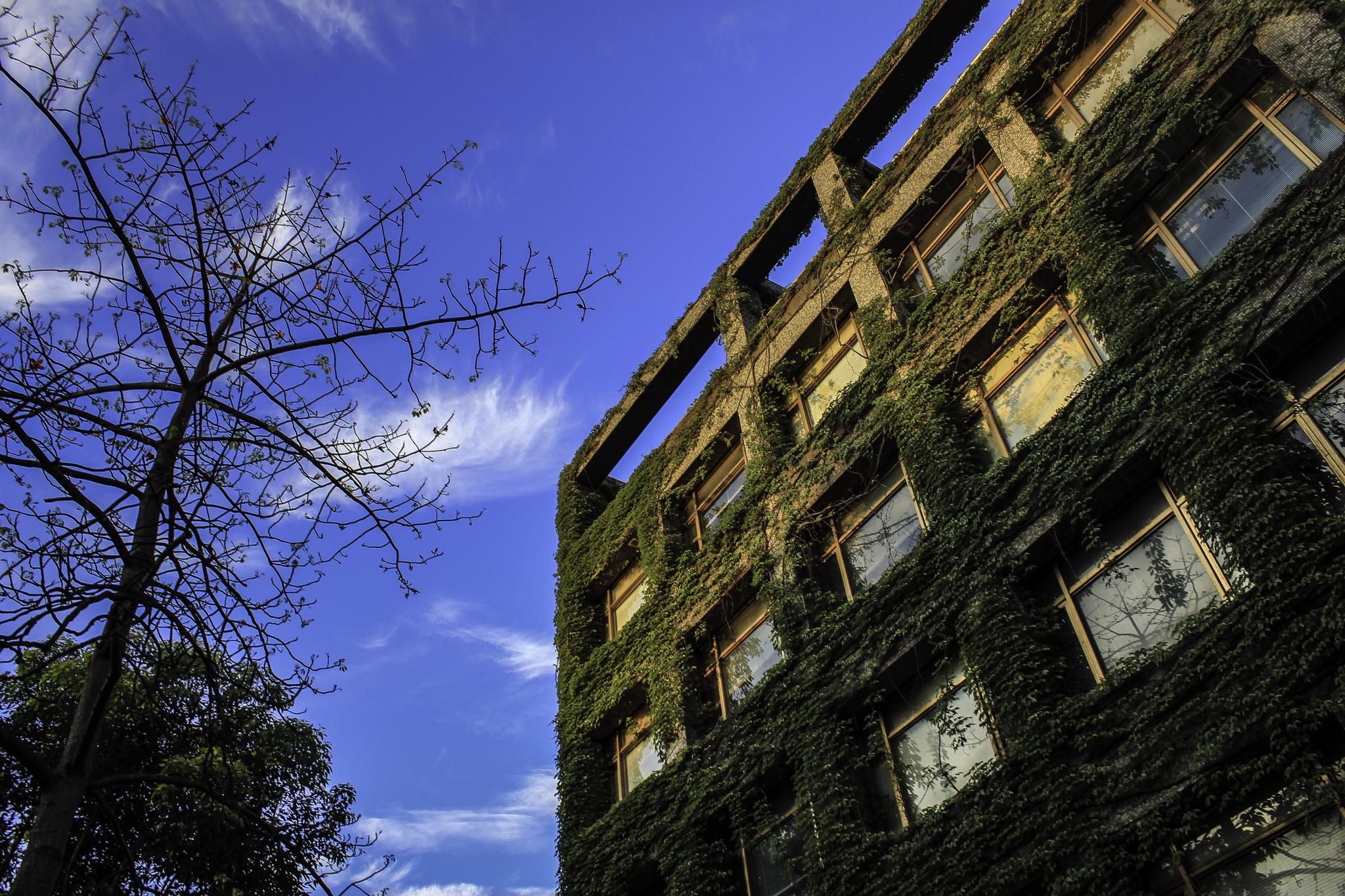 中原大學建築系館