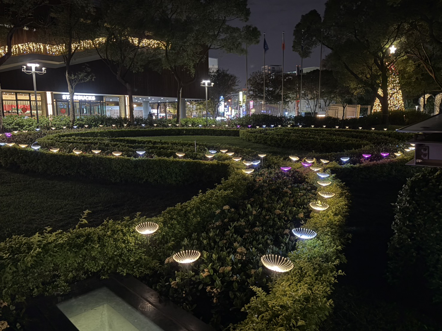 五環草坪水母燈營造夢幻冬夜氛圍，象徵中原 70 週年創意與祝福流動。