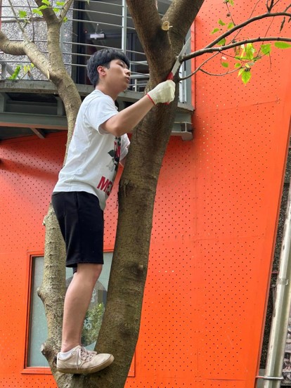 同學們分工合作，有人修剪枝葉、有人清理殘枝落葉
