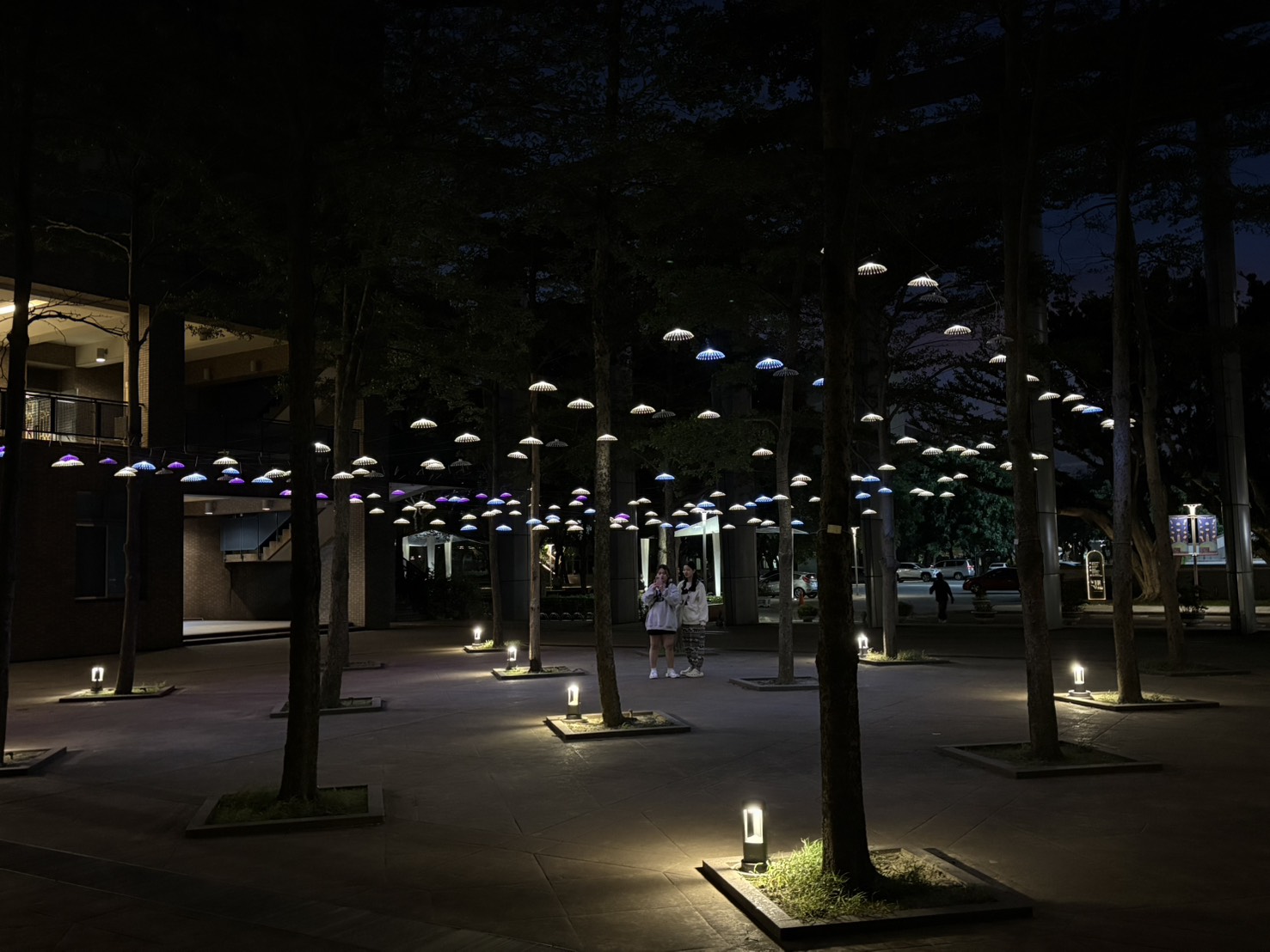 全人村樹林水母燈