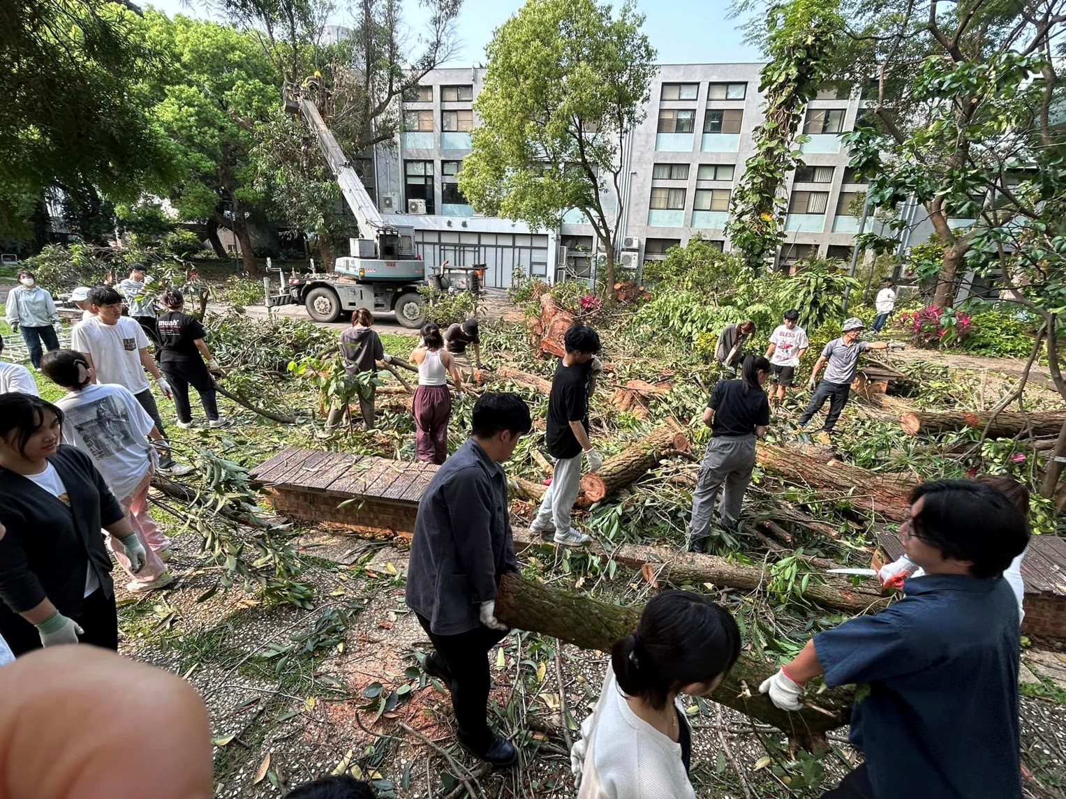 彭文惠副教授深有體會並提到，樹木不單只是校園裡的一抹綠意，更承載著校園的歷史和人文。