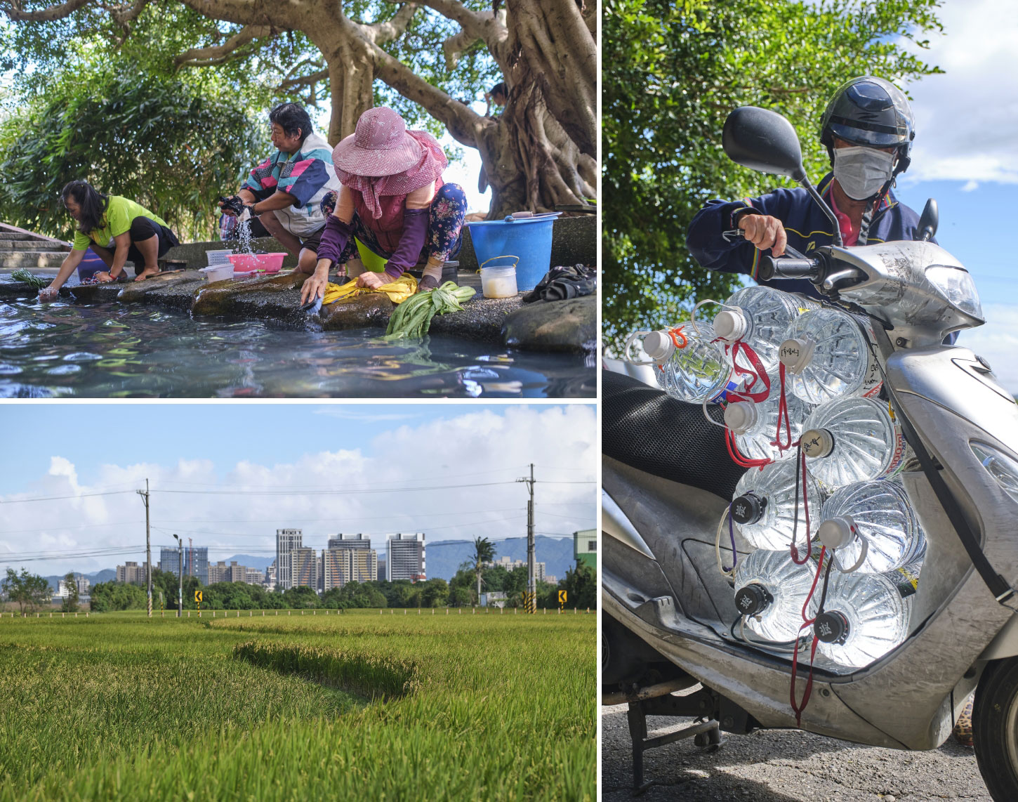 藏身桃園市的霄裡社區，擁有大片金稻浪、百年浣衣池，不僅保有客家聚落風情，更是中原大學師生們的露天教學場域。