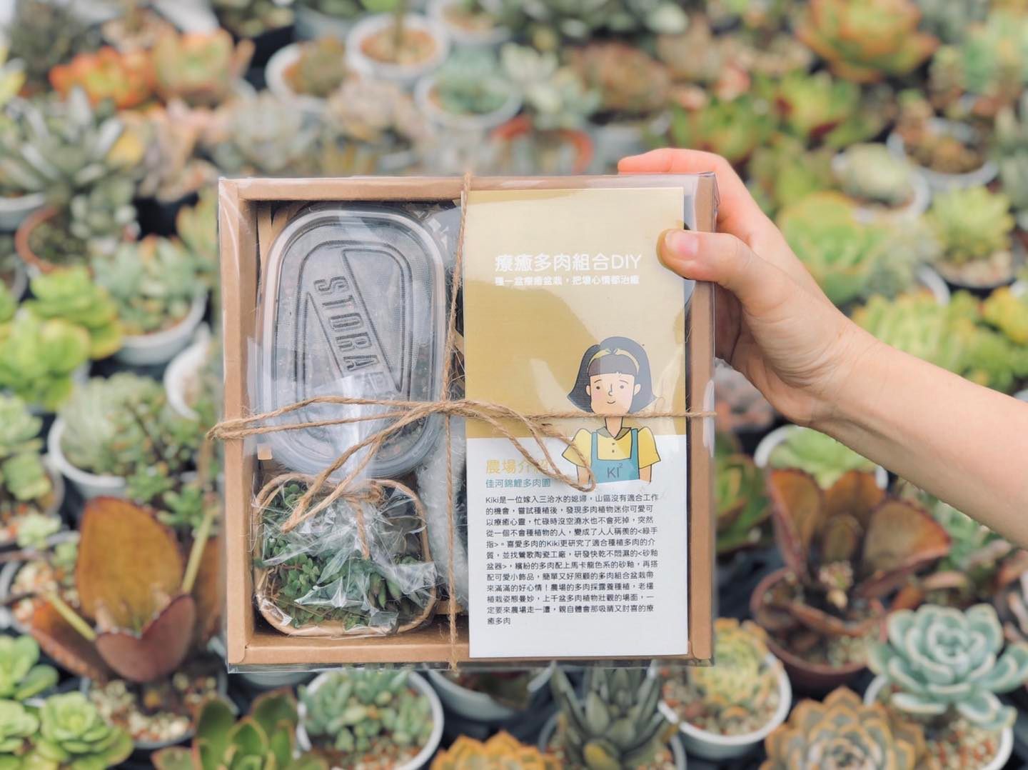 在桃園市政府青年事務局的協助及輔導下，疫情期間廖緗翎發揮創意推出多肉植栽材料包