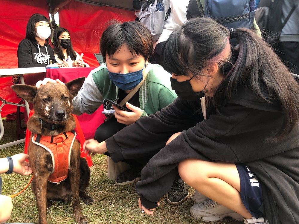 企管一甲季巧霖表示，因為家中有飼養寵物，所以看到幫助動物的社團就想加入