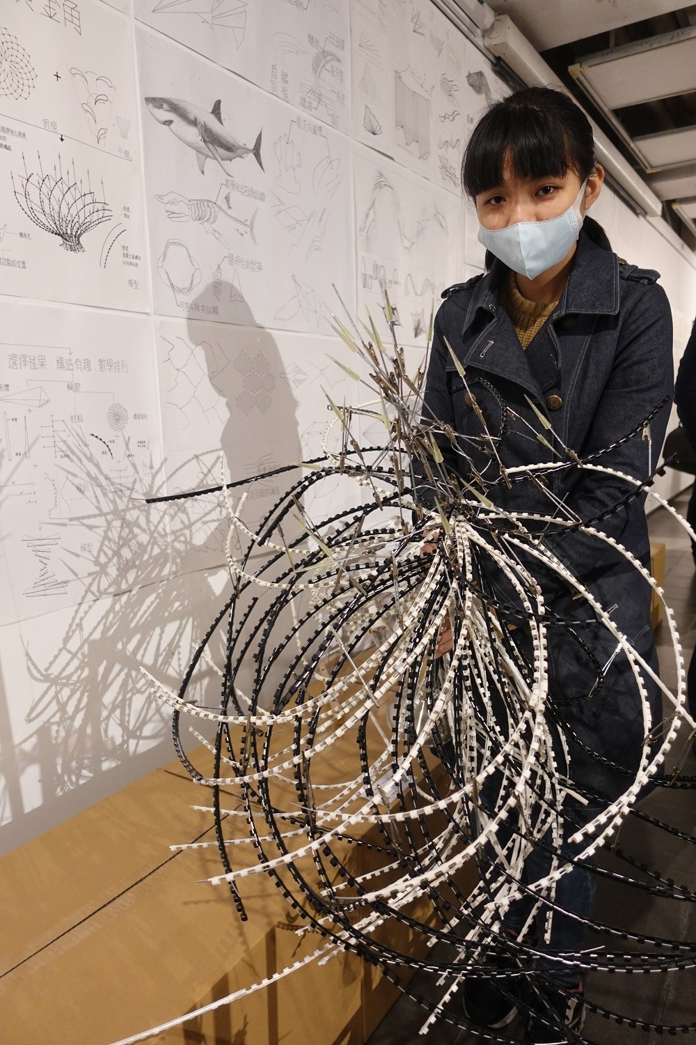 李星蓉同學將植物「毬果」抽絲剝繭，觀察從出現到最終開鱗的過程饒富趣味